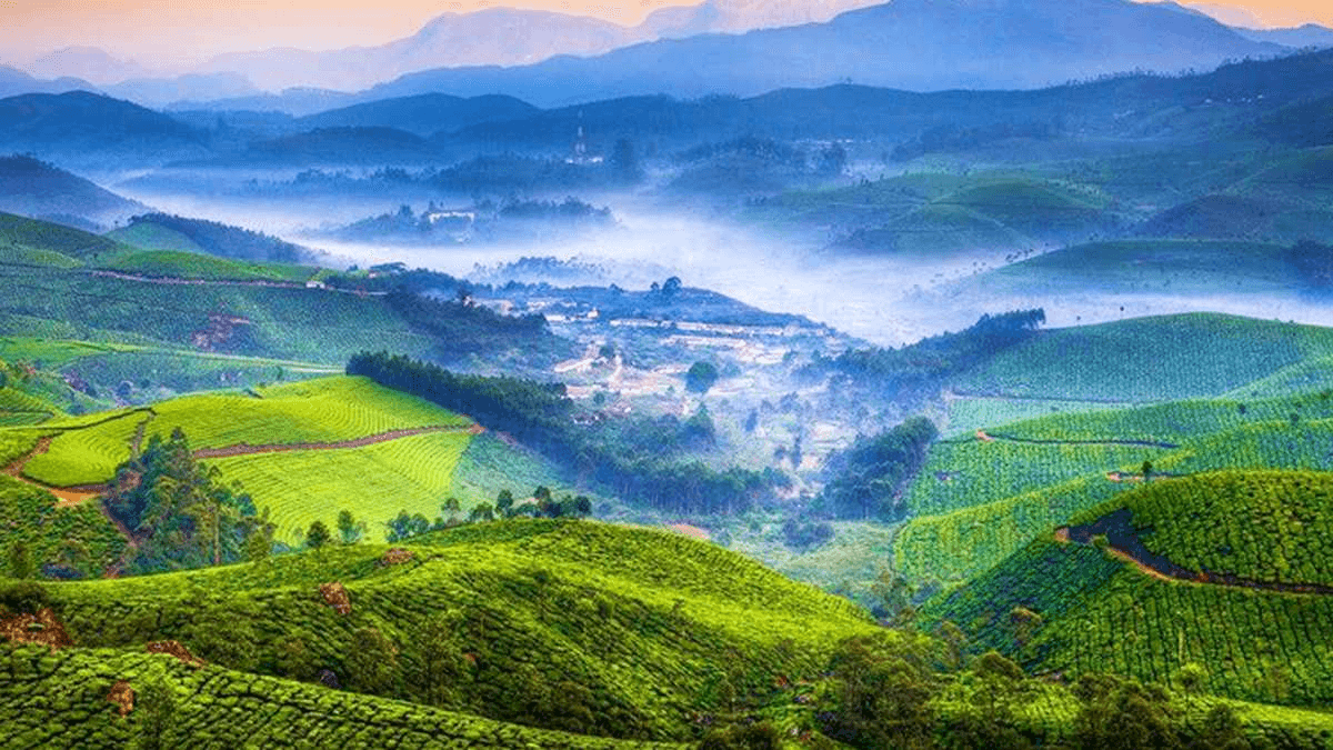 Experience at Devikulam